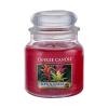 Yankee Candle Tropical Jungle Candela profumata 411 g