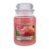 Yankee Candle Sun-Drenched Apricot Rose Candela profumata 623 g