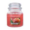 Yankee Candle Sun-Drenched Apricot Rose Candela profumata 411 g