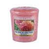 Yankee Candle Sun-Drenched Apricot Rose Candela profumata 49 g