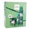 C-THRU Luminous Emerald Pacco regalo eau de toilette 30 ml + deodorante 150 ml + candela