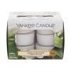 Yankee Candle Camellia Blossom Candela profumata 117,6 g