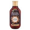 Garnier Botanic Therapy Ginger Recovery Shampoo donna 250 ml