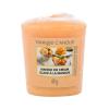 Yankee Candle Mango Ice Cream Candela profumata 49 g