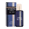 Iceberg Change The Flow Eau de Toilette uomo 30 ml