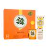 Monotheme Book of Citruses Zagara Pacco regalo eau de toilette 100 ml + gel doccia 100 ml
