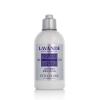L'Occitane Lavande Body Lotion Latte corpo donna 250 ml