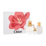 Chloé Nomade