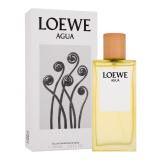 Loewe Agua Eau de Toilette 100 ml