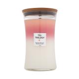 WoodWick Trilogy Blooming Orchard Candela profumata 610 g