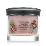 Yankee Candle Signature Desert Blooms Candela profumata 122 g