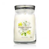 Yankee Candle Signature Midnight Jasmine