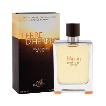 Hermes Terre d´Hermès Eau Intense Vétiver