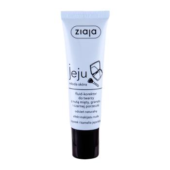 Ziaja Jeju
