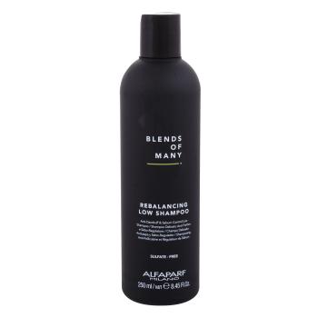 ALFAPARF MILANO Blends Of Many Rebalancing