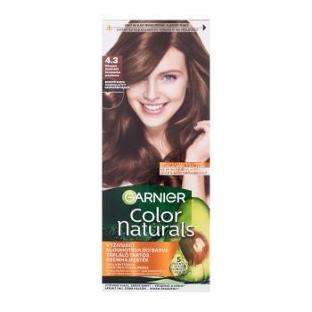 Garnier Color Naturals