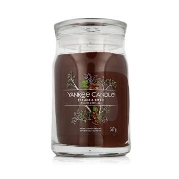 Yankee Candle Signature Praline & Birch