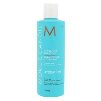 Moroccanoil Hydration
