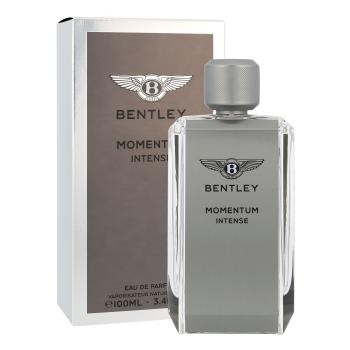 Bentley Momentum Intense