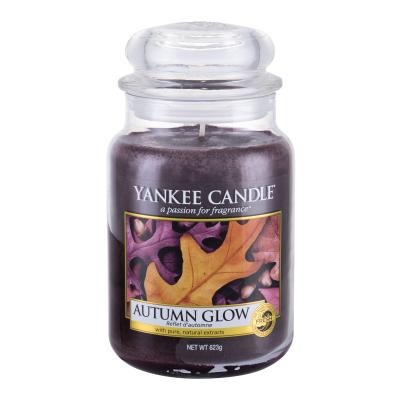 Yankee Candle Autumn Glow Candela profumata 623 g