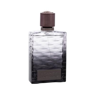 Jaguar Stance Eau de Toilette uomo 100 ml