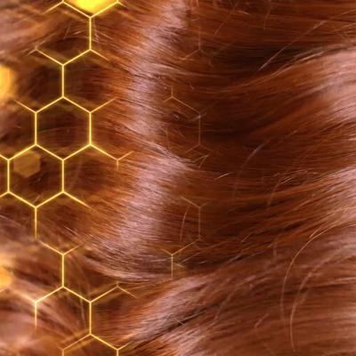 Garnier Botanic Therapy Honey &amp; Beeswax Shampoo donna 400 ml