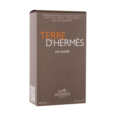 Hermes Terre d´Hermès Eau Givrée Eau de Parfum uomo 100 ml