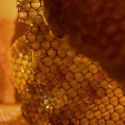 Garnier Botanic Therapy Honey Treasure Hair Remedy Maschera per capelli donna 340 ml