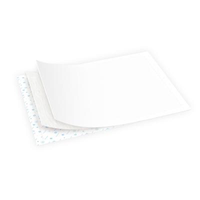 Canpol babies Ultra Dry Multifunctional Disposable Underpads 60 x 60 cm Tappetino per il cambio donna 10 pz