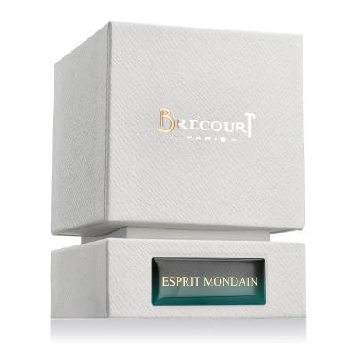 Brecourt Esprit Mondain Eau de Parfum uomo 50 ml