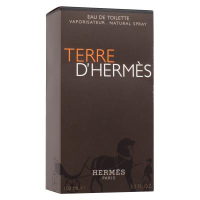 Hermes Terre d´Hermès Eau de Toilette uomo 100 ml