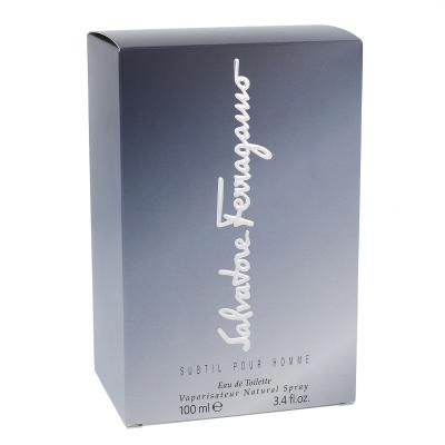 Ferragamo Subtil Pour Homme Eau de Toilette uomo 100 ml