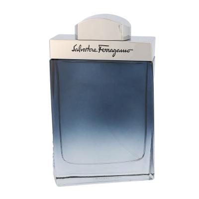 Ferragamo Subtil Pour Homme Eau de Toilette uomo 100 ml