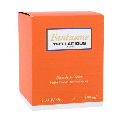 Ted Lapidus Fantasme Eau de Toilette donna 100 ml