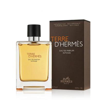 Hermes Terre d´Hermès Intense Eau de Parfum uomo Ricaricabile 100 ml