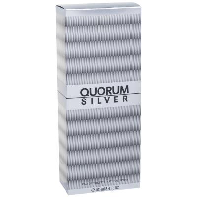 Antonio Puig Quorum Silver Eau de Toilette uomo 100 ml