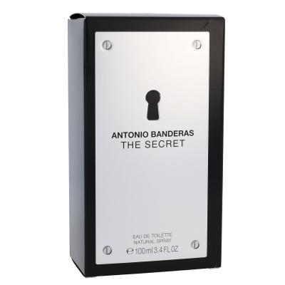 Antonio Banderas The Secret Eau de Toilette uomo 100 ml