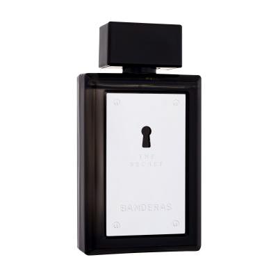 Banderas The Secret Eau de Toilette uomo 100 ml