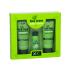 Xpel Tea Tree Pacco regalo shampoo 100 ml + balsamo 100 ml + siero per capelli 30 ml