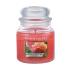 Yankee Candle Sun-Drenched Apricot Rose Candela profumata 411 g