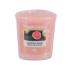 Yankee Candle Delicious Guava Candela profumata 49 g