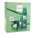 C-THRU Luminous Emerald Pacco regalo eau de toilette 30 ml + deodorante 150 ml + candela