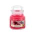 Yankee Candle Roseberry Sorbet Candela profumata 104 g