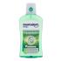 Mentadent Teeth and Gums Mint Collutorio 500 ml