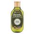 Garnier Botanic Therapy Olive Mythique Shampoo donna 250 ml