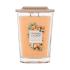 Yankee Candle Elevation Collection Kumquat & Orange Candela profumata 552 g