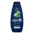 Schwarzkopf Schauma Men Classic Shampoo Shampoo uomo 400 ml