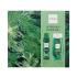 C-THRU Luminous Emerald Pacco regalo deodorante 150 ml + gel doccia 250 ml