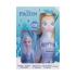 Disney Frozen II Elsa 2in1 Shower Gel & Shampoo Pacco regalo gel doccia 400 ml + spugna