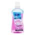 Xpel Dual Action Clove Mouthwash Collutorio 500 ml